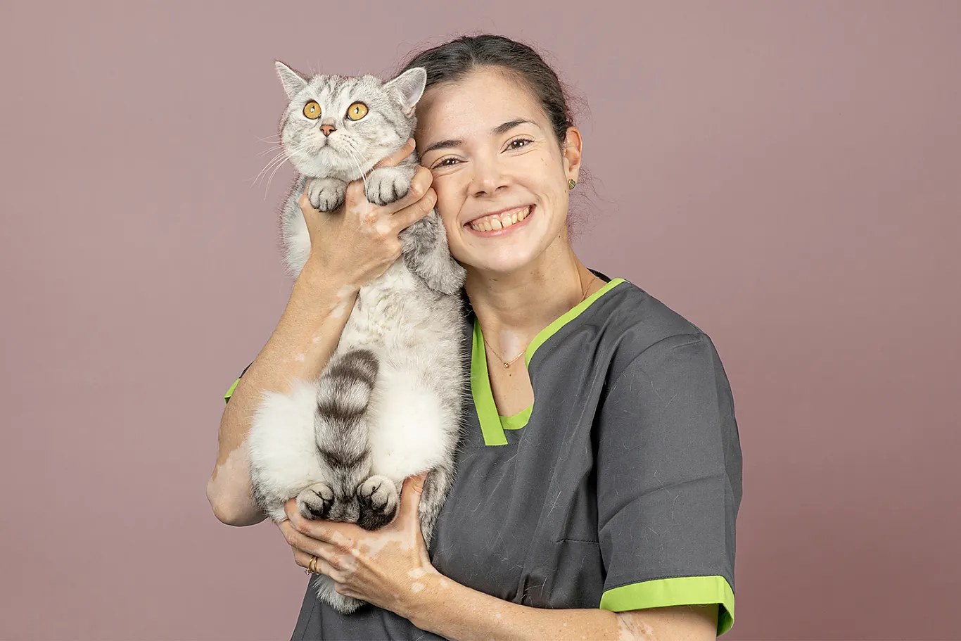 Teamfoto . Schäublis Tierklinik